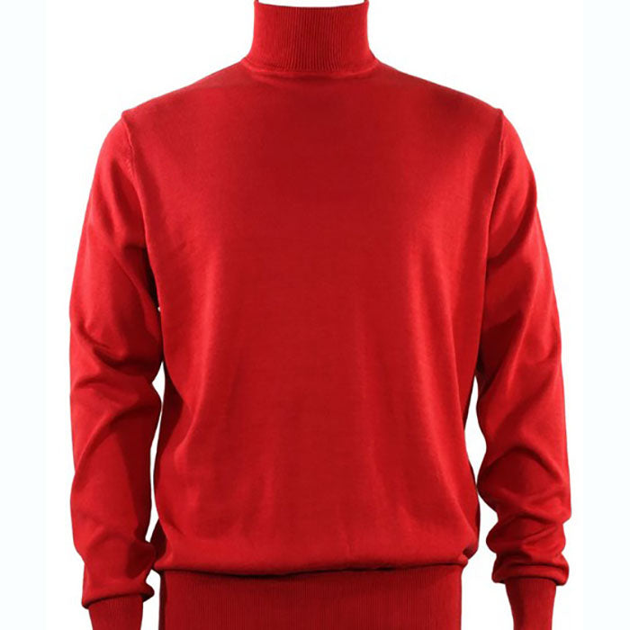 Bassiri Long Sleeve Turtle Neck Sweater