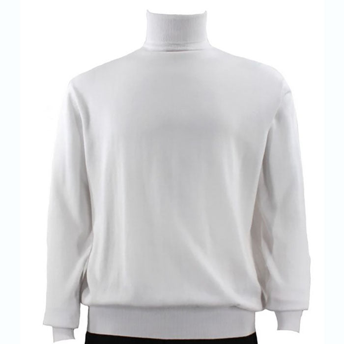 Bassiri Long Sleeve Turtle Neck Sweater